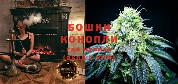 индика Надым