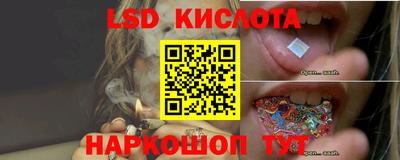 jwh Камышлов