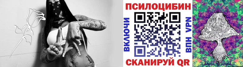 Галлюциногенные грибы Psilocybe  МЕГА вход  Красногорск 