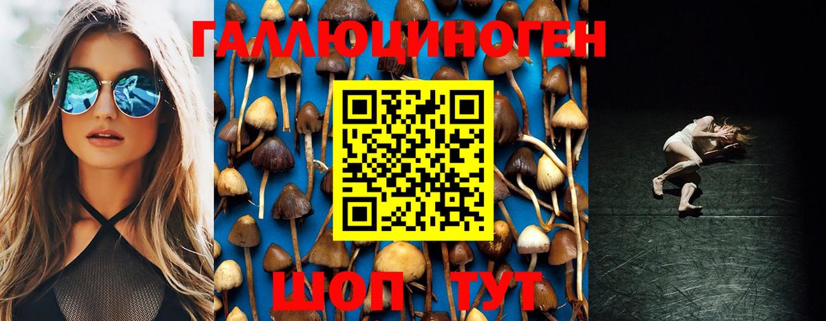 Галлюциногенные грибы мицелий  Вход с VPN  Псилоцибиновые грибы Magic Shrooms  Красногорск 
